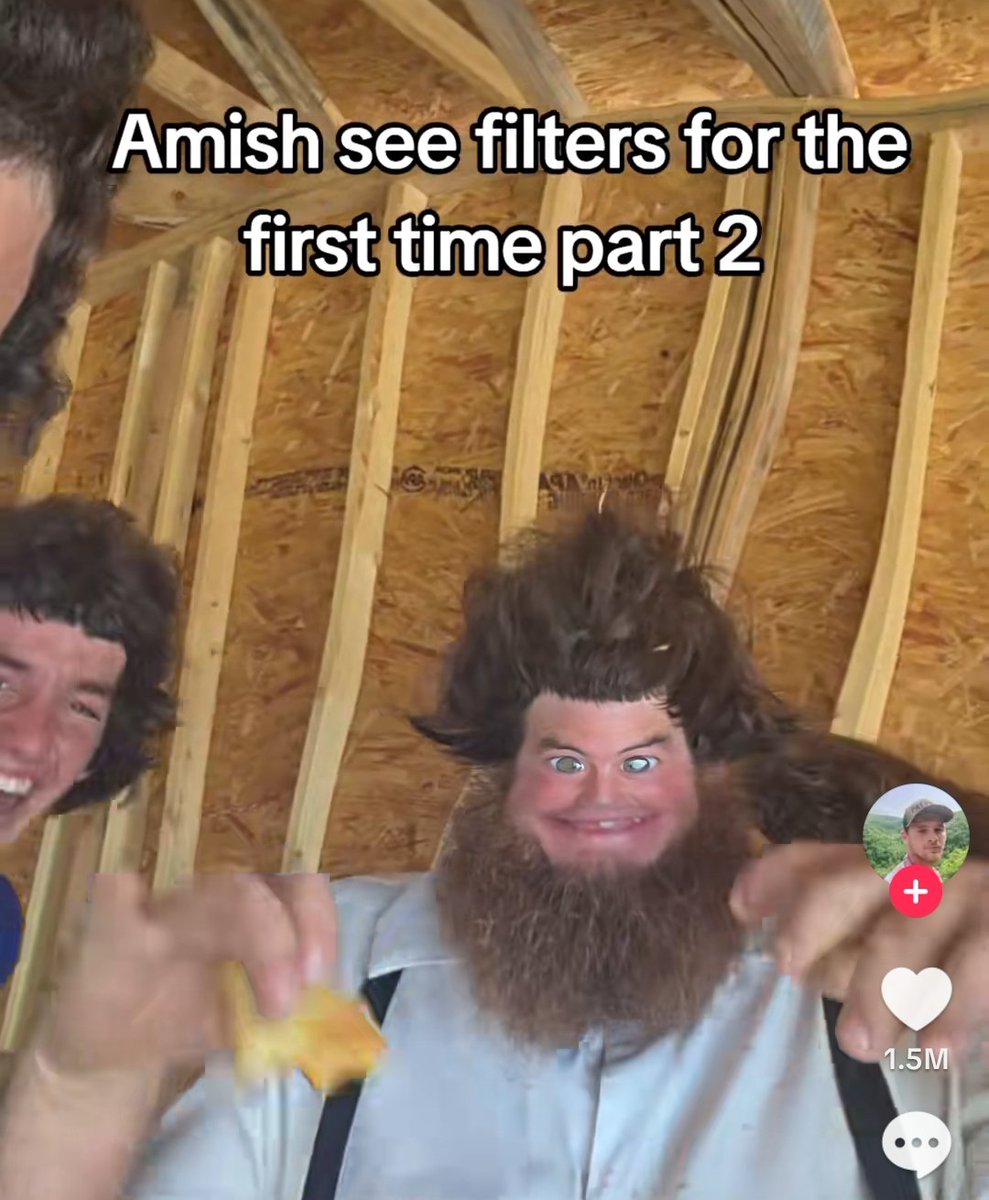 facetedcarapace's tweet image. 