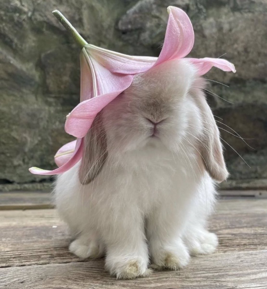 O mythical bard!

                                      Sing unto us a song of

ancient Albion.