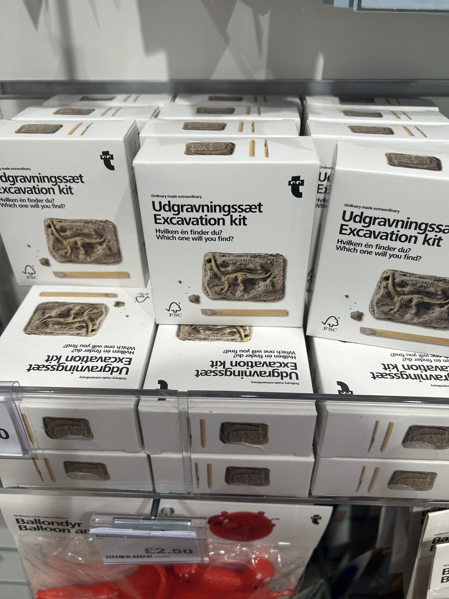 Fiona Loose tweet media