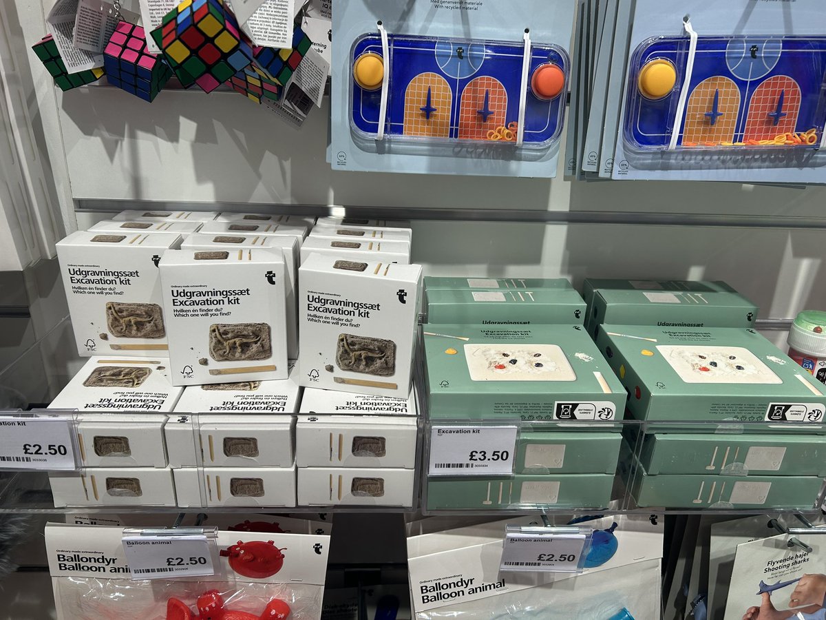 Fiona Loose tweet media