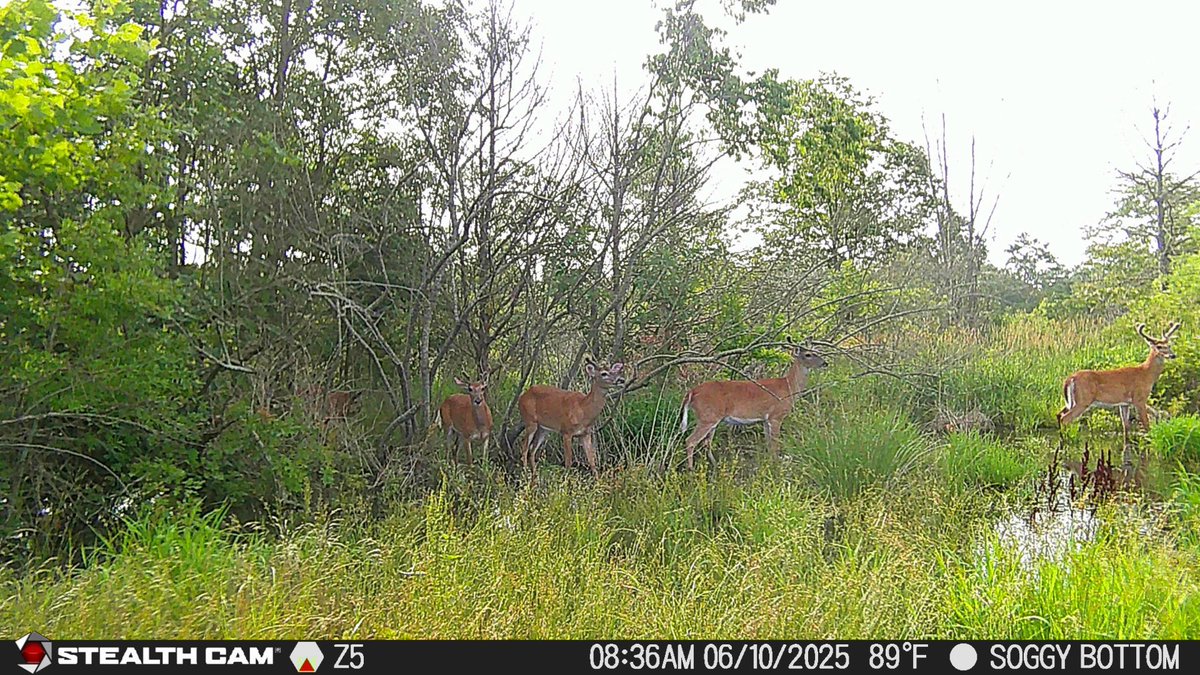 Engineered2Hunt's tweet image. Growing!!!  #Thehuntingclub