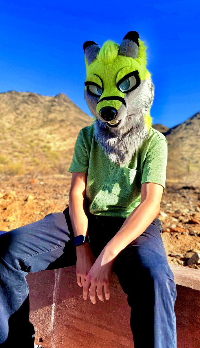 JaxthewolfSFW's tweet photo. Always nice taking some desert shots, even if it is over 100F outside #Fursuit #azfurs https://t.co/5CLLG267Th