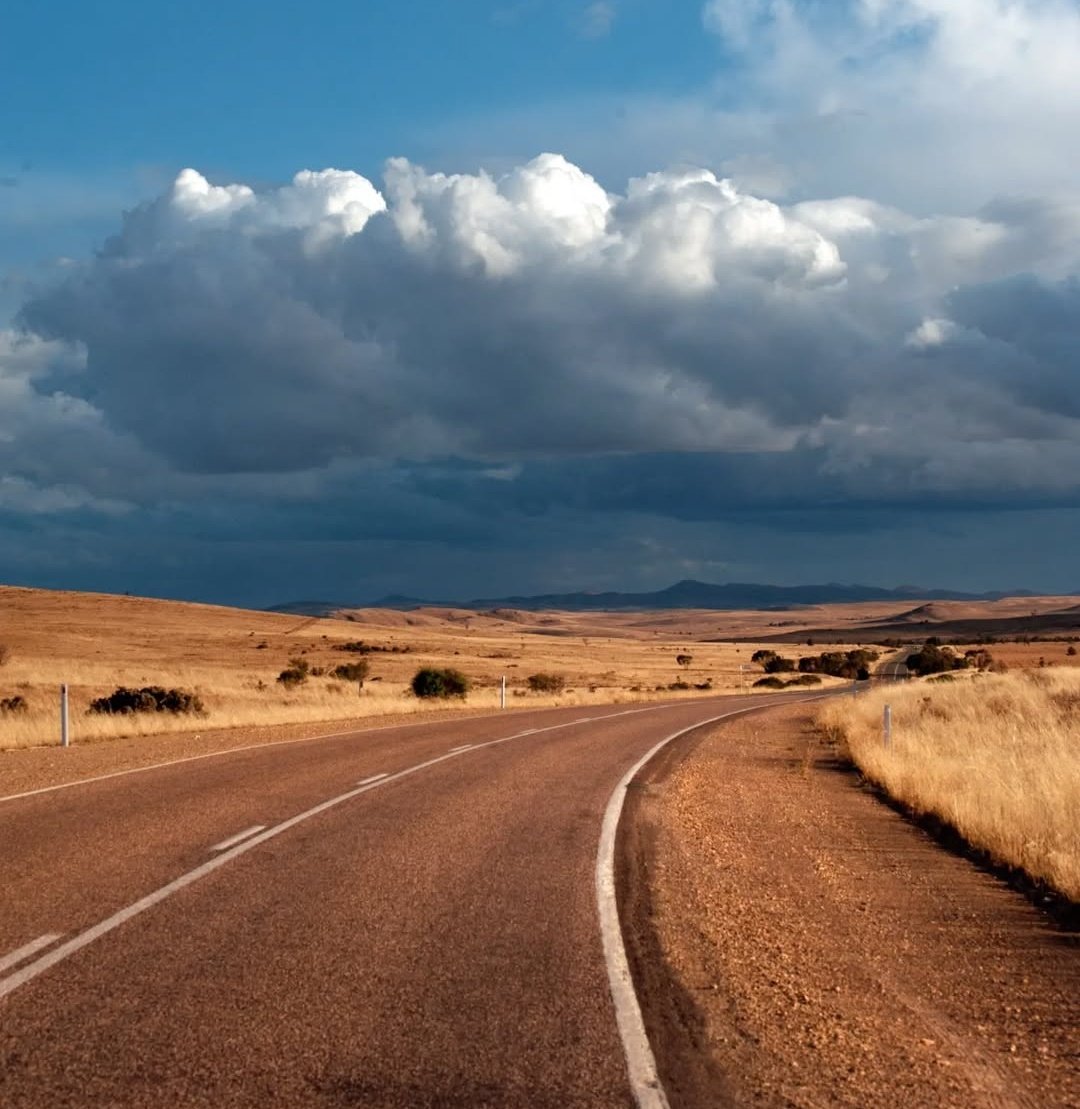 Librófilos™ tweet media