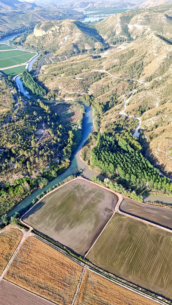 Meteo⚡Hellín tweet media