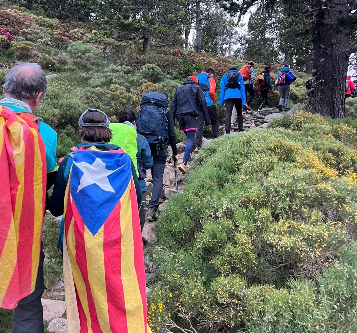 Aquesta nit es renova la #FlamadelCanigó 🔥
Gràcies a tots els qui ho feu possible, bona pujada fins al cim ! 
Quina llàstima que cap mitjà està informant de totes les activitats.
Visca els Països Catalans! ✨