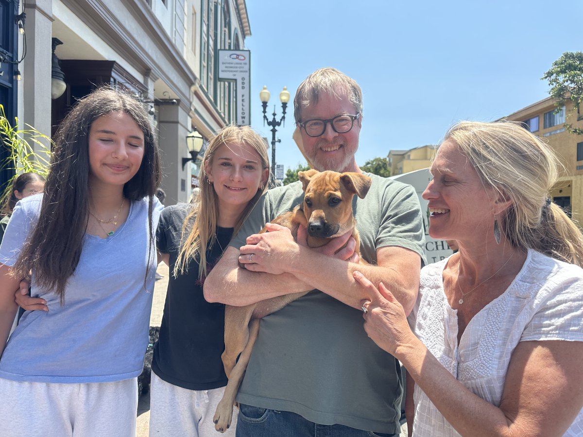 DPSRescue's tweet image. Beach pup Summer has surfed her way into a forever home! ☀️ From sandy zoomies to sunny snuggles, this girl is ready to bring endless Summer vibes to her new fam.  Come meet our dogs at Alhambra Irish Pub in Redwood City!🌴💛 #Adopted #BeachLitter #PawfectMatch #SummerLovin