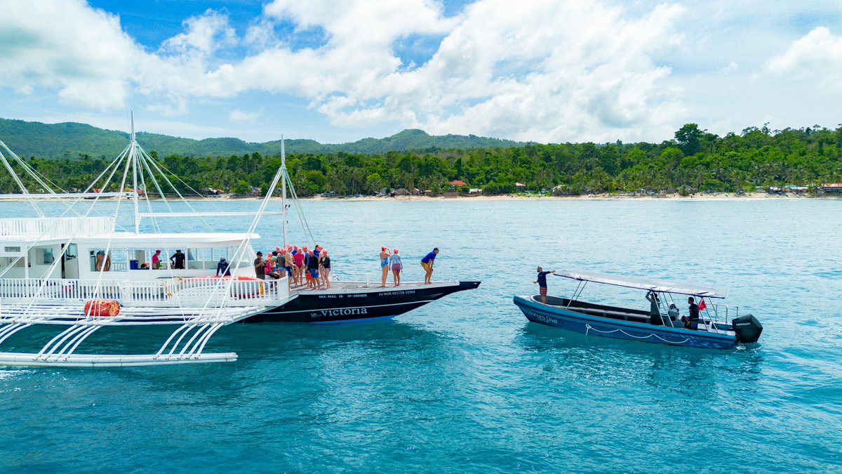 oceanswimsafaris tweet media