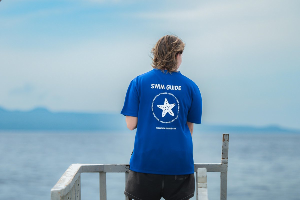 oceanswimsafaris tweet media