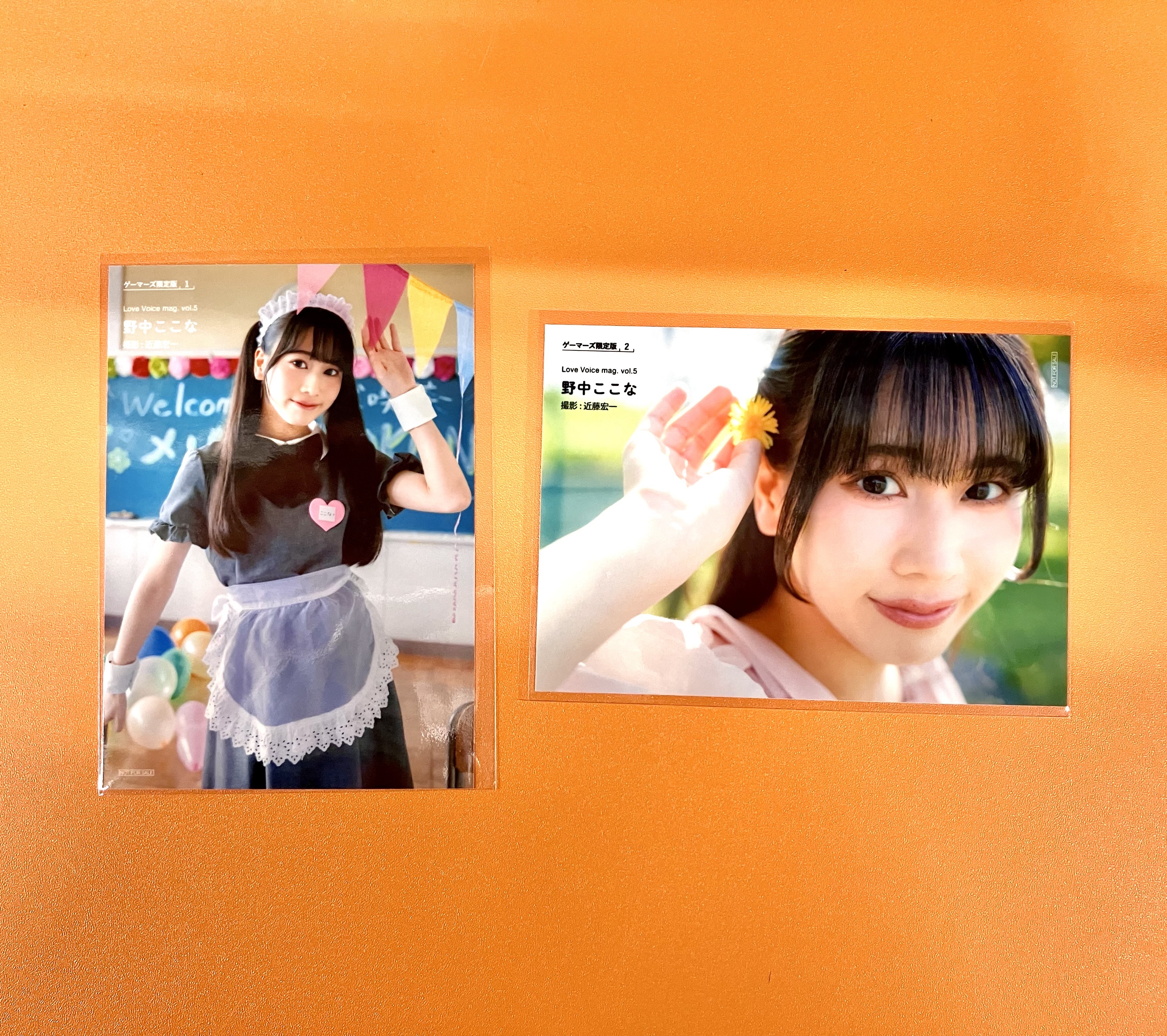 Love Voice mag. Vol.5 書泉特典 野中ここな ブロマイド - メルカリ