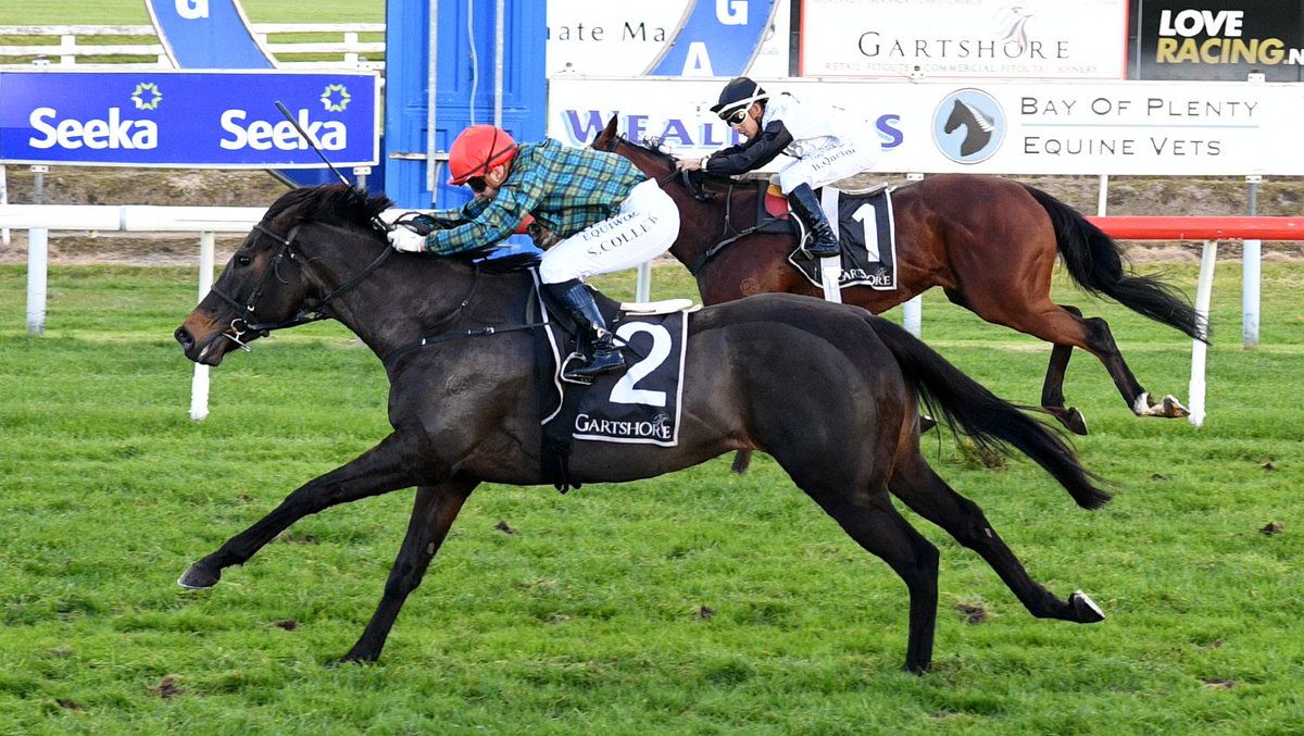 LOVERACING.NZ (@loveracingnz) on Twitter photo Cork’s dashing first-up victory has significantly boosted her family’s profile for breeder <a href="/BlandfordLodge/">Blandford Lodge</a>
📰 Read more: buff.ly/MxrZ22C Cork’s dashing first-up victory has significantly boosted her family’s profile for breeder <a href="/BlandfordLodge/">Blandford Lodge</a>
📰 Read more: buff.ly/MxrZ22C