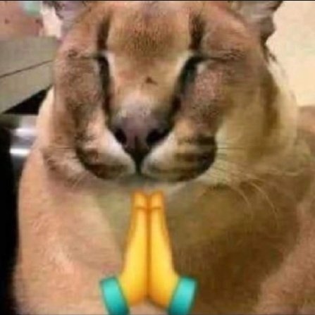 Consegui ganhar o campeonato que da a viagem para o blink respawn, sinceramente não esperava conseguir vencer o <a href="/Ragnak__/">Ragnak</a> , foi lutassa, ggs🙏