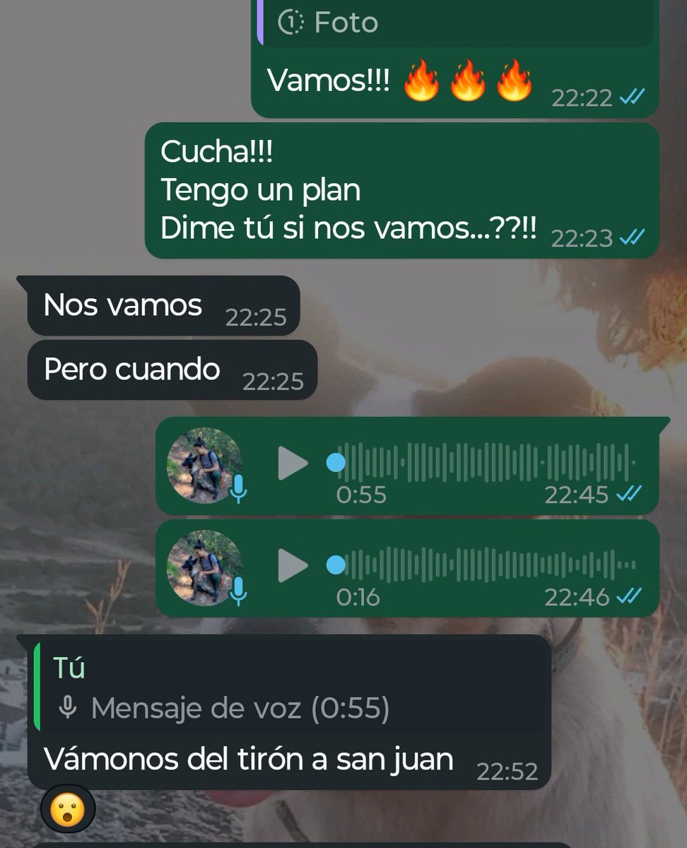 Judith8Chorro's tweet photo. Necesito más de esto en mi vida.

Gracias por dejarme ser el acelerador.
Tú serás mis frenos cuando necesite tenerlos. https://t.co/4ueT192nZb