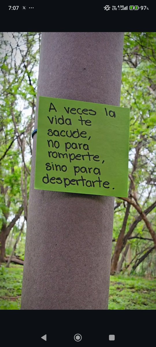 AUGUSTO ® tweet media