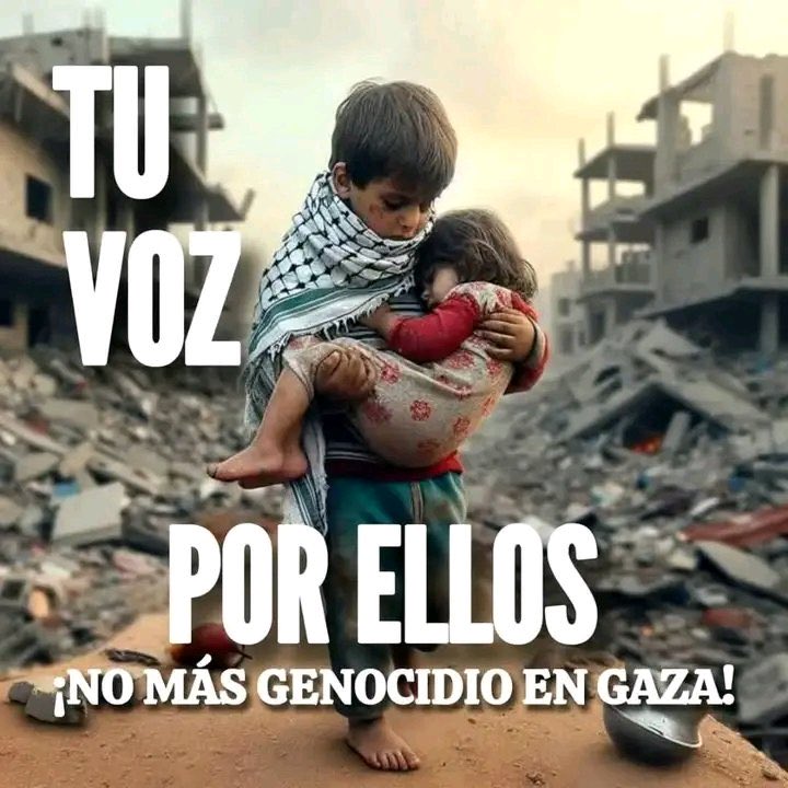 FirmeCastro's tweet photo. La paz no debería ser un privilegio. Gaza merece respirar sin miedo, crecer sin fuego, vivir sin guerra. https://t.co/Hi8Bkkmrcy
