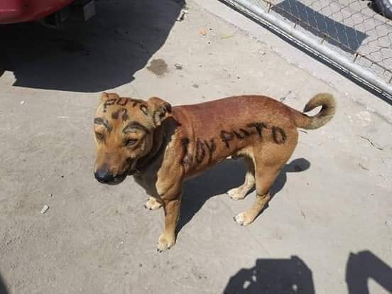 Es probablemente mi foto favorita de todos los tiempos como te vas a regalar así