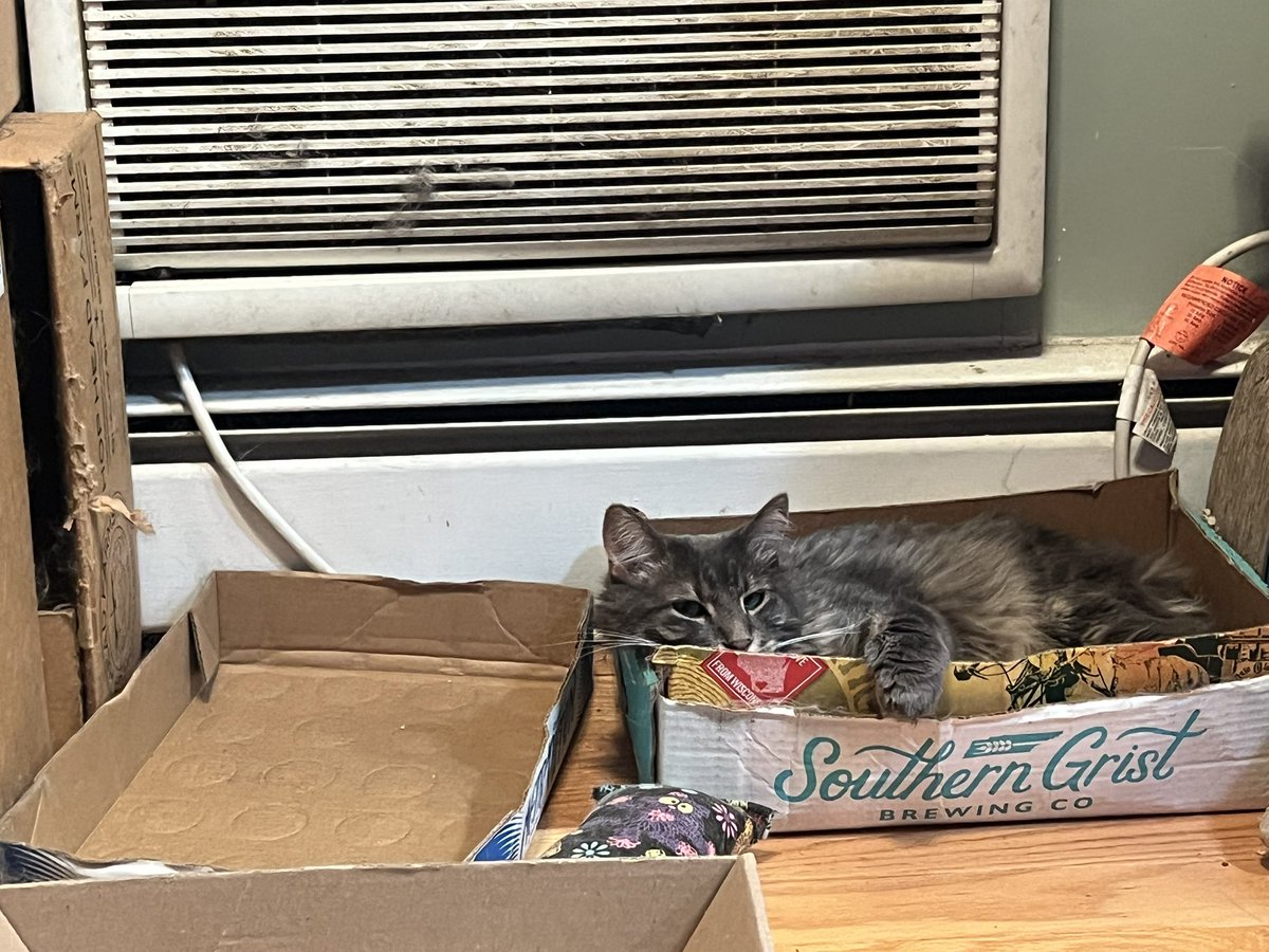 It’s 90+ degreees in Chicago, so sport is in his ac box.