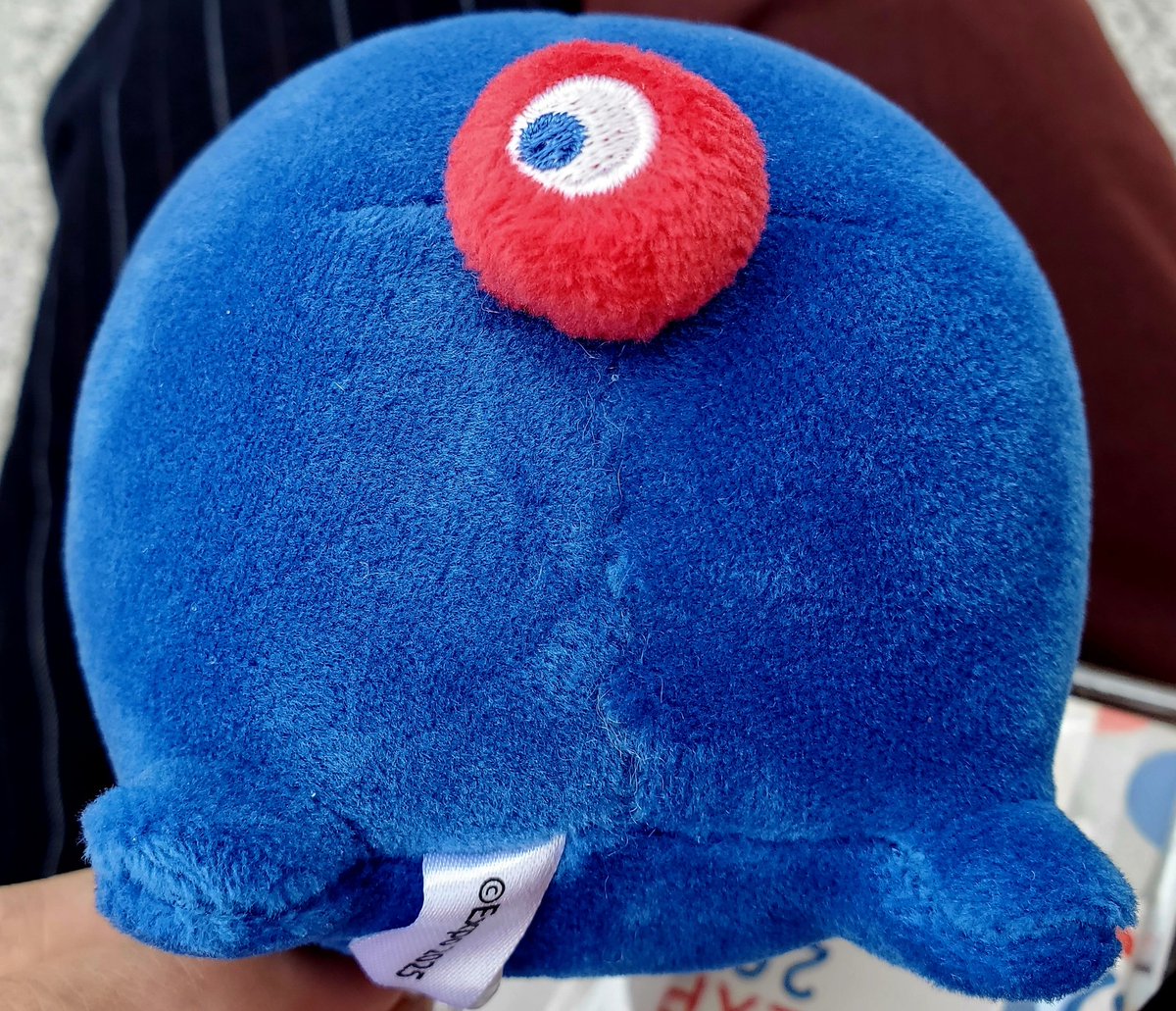 もっちり( ◜ω◝ )横のミャクぬい買っちゃった🎶このミャクケツがたまらん