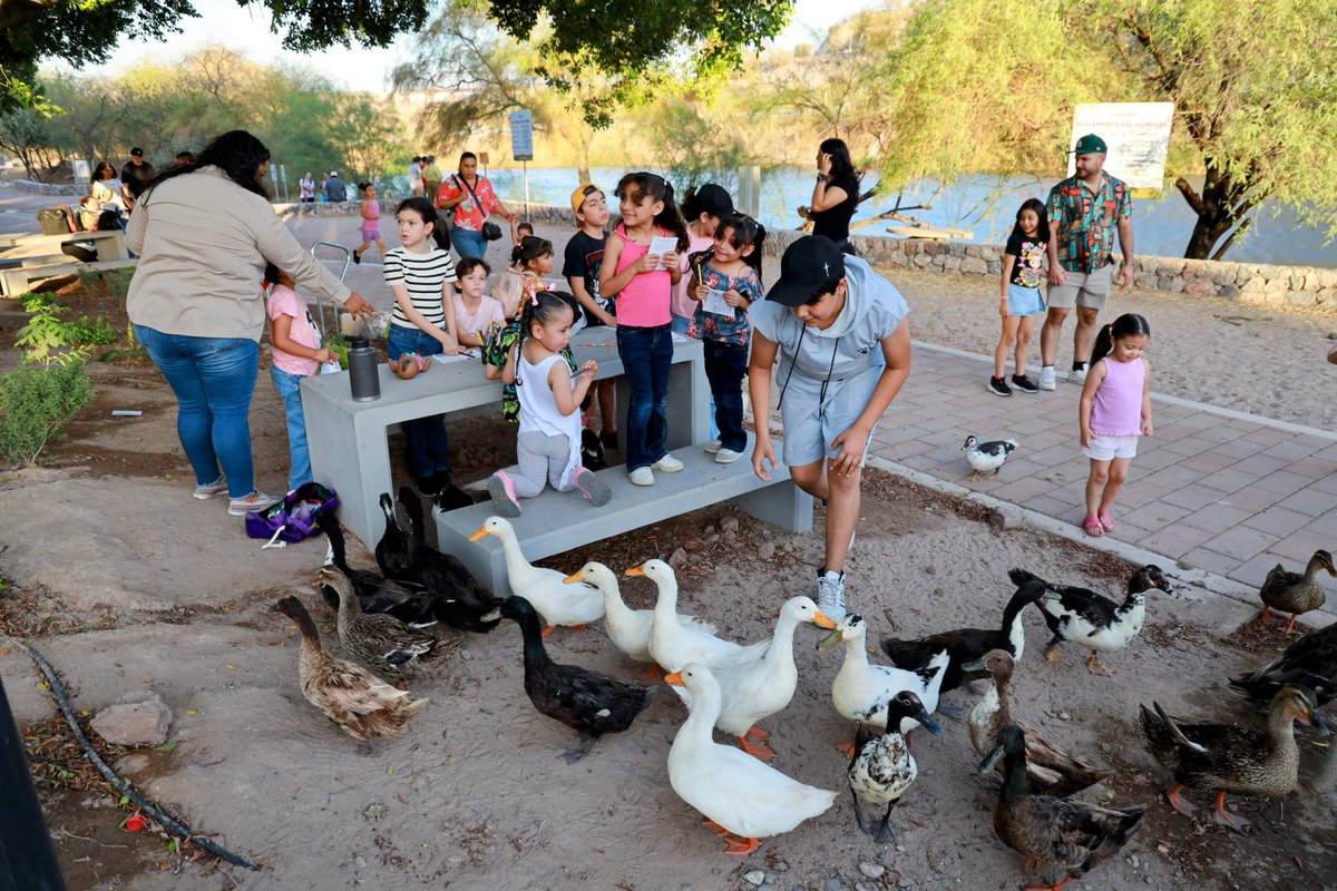 AlfonsoDurazo's tweet photo. Rescatamos La Sauceda para convertirla en un espacio vivo de naturaleza, convivencia y orgullo para todas las familias sonorenses. 

Seguimos transformando Sonora con espacios de esparcimiento social gratuito que nos unen y nos llenan de vida. https://t.co/X7blbGddzh