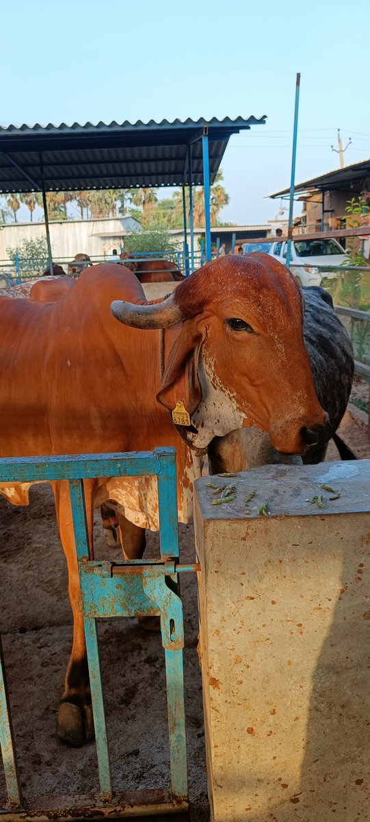 जय श्री कृष्णा। 🙏
सुप्रभात।  🌄