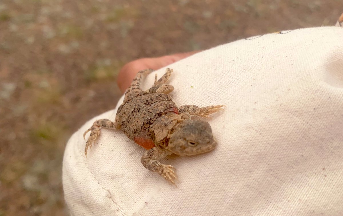 Энэ бид 2 л энд тургалж бна. ӨМ