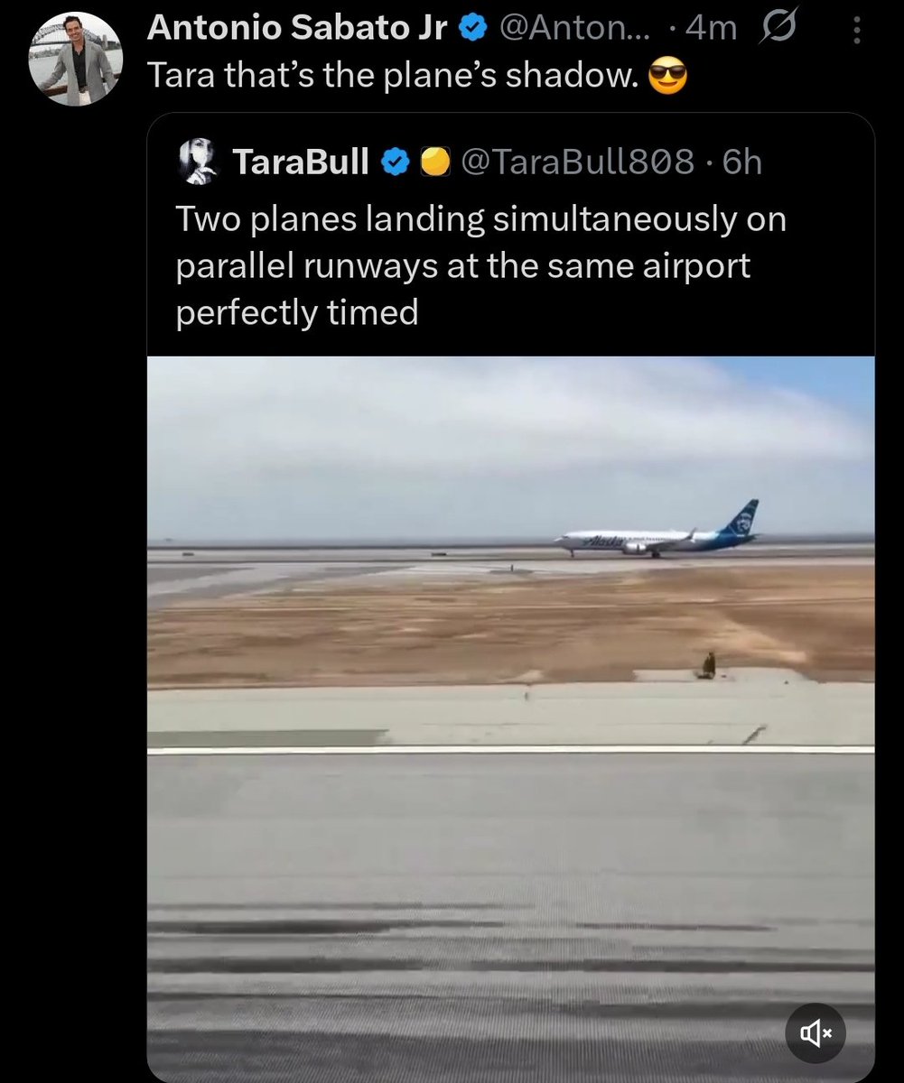 TaraBull tweet media