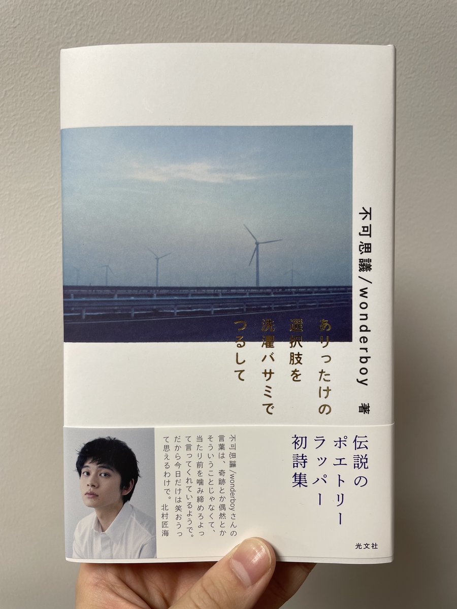 ⭐︎さかいページ⭐︎他の方は落札不可⭐︎ 不可思議/wonderboy 】 『#ありったけの選択肢を洗濯バサミでつるして