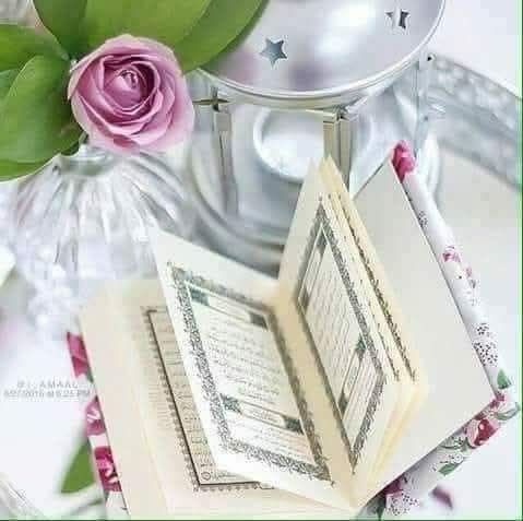 Durr E Shehwar🍁 tweet media