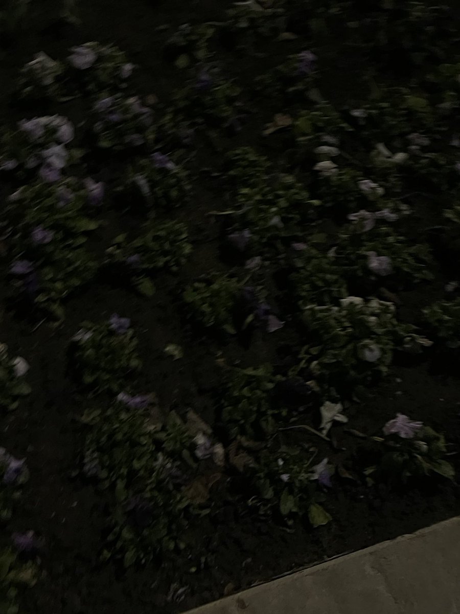 lyn (@lyn93409141) on Twitter photo 