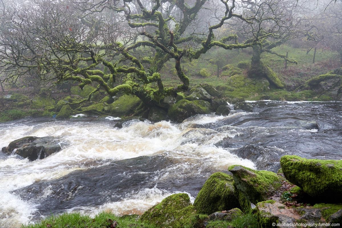 controdicting's tweet image. 