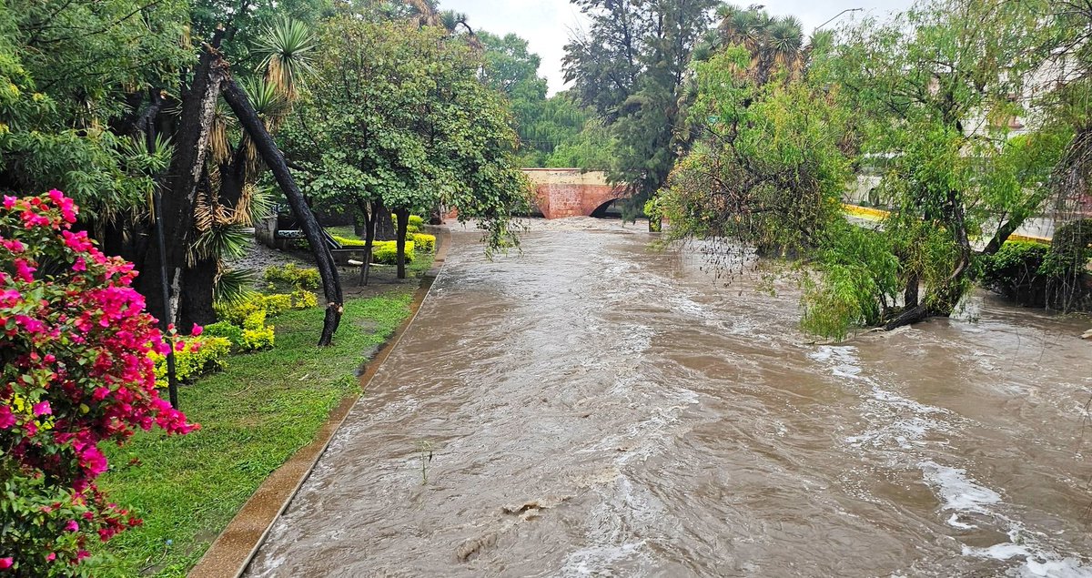 Que chulo es mi XochimilQro querido cuando llueve 🛶🌧️

#Querétaro 
#ILoveQro 🫶🏻