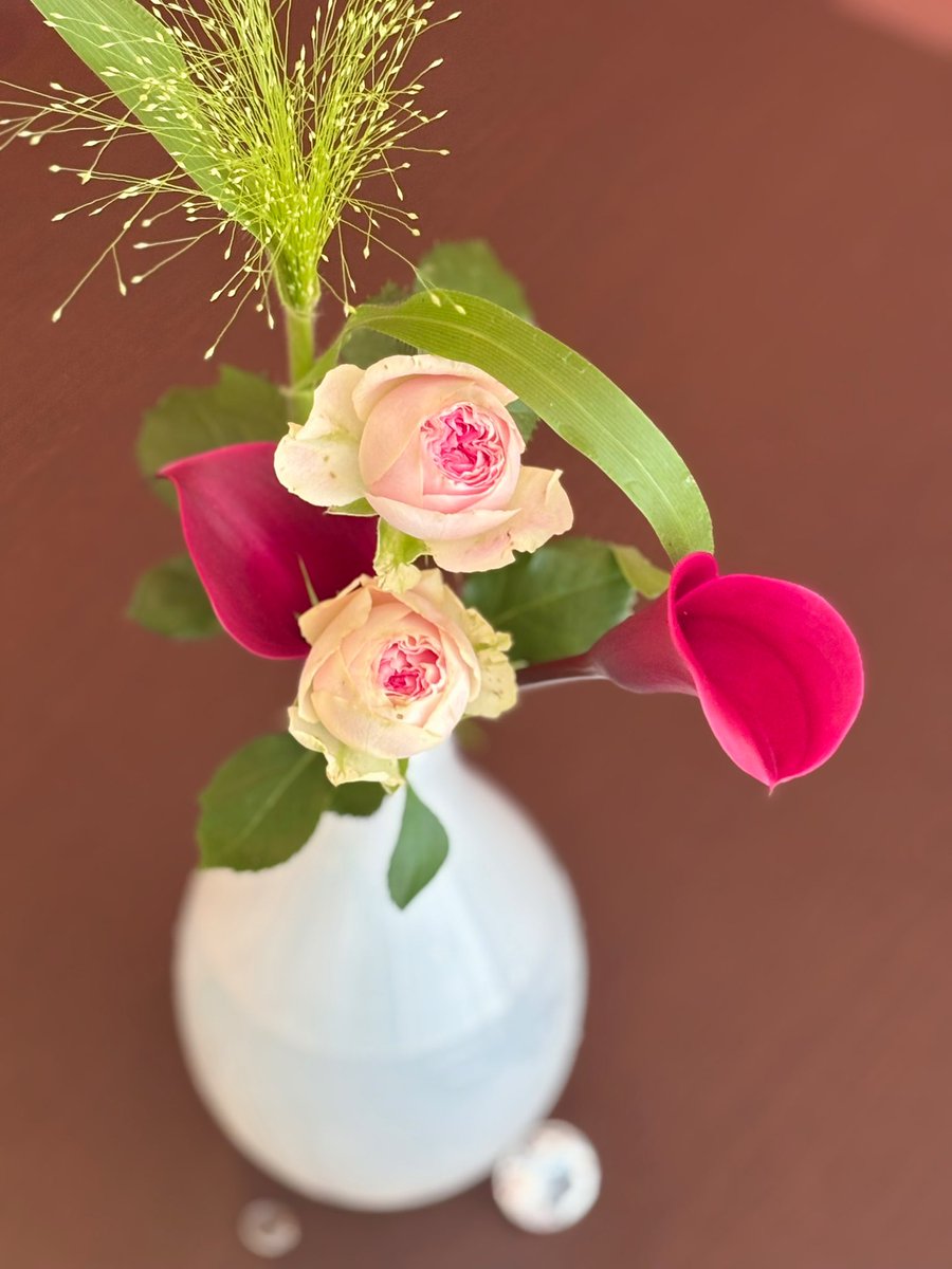 今日は雨の日のブーケを💐✨

ふわふわ揺れるこの穂は
猫のヒゲみたいでしょう🐈🌿

「猫が顔を洗うと雨が降る🫧」
そんな言い伝えを思い出しました😊

もうしばらくは
雨音がそばにいてくれるのかな♪

優しい雨でありますように🕊️✨🤗