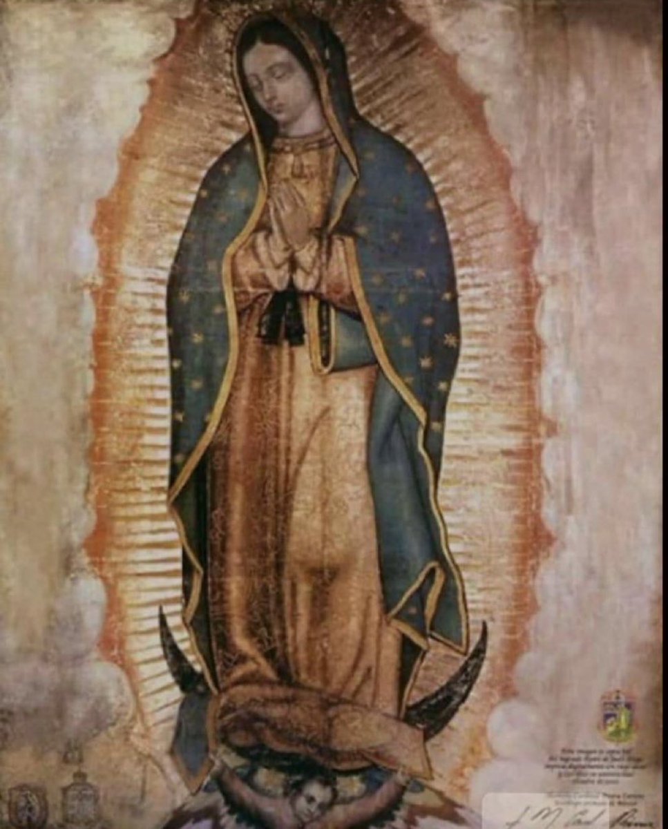DANTE_eloficial's tweet photo. Virgen de Guadalupe... ruega por nosotros 🙏♥️ https://t.co/Mxaid0QrbE