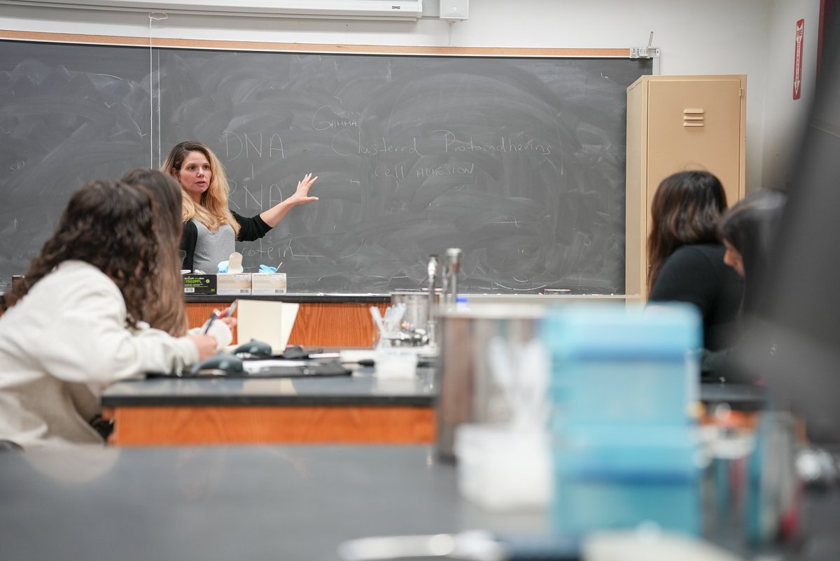 Research at the College of Staten Island tweet media