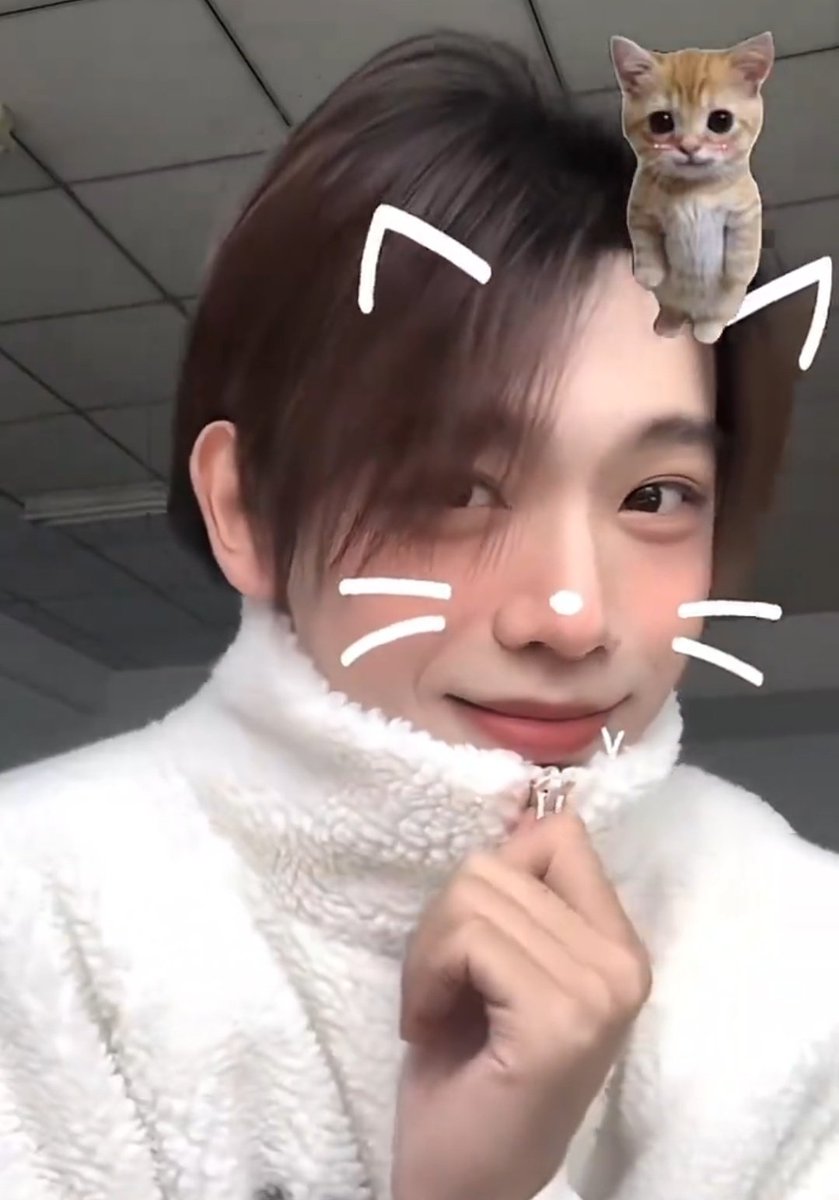 Zhangshuaibo_0's tweet photo. 대장! 왜 요즘은                        고냥이돼써🐱
개구리 나라에 오지               
않는거야?? https://t.co/tIClBTSDCB