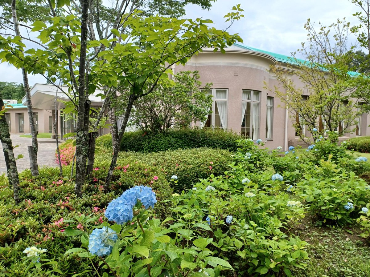 sokaboen's tweet photo. 中国平和記念墓地公園です！
園内の風景をお届けします💁‍♂️

6月に入り、園内ではアジサイやサツキ、ビヨウヤナギなどが咲いています🌼 https://t.co/cURRlURkDQ