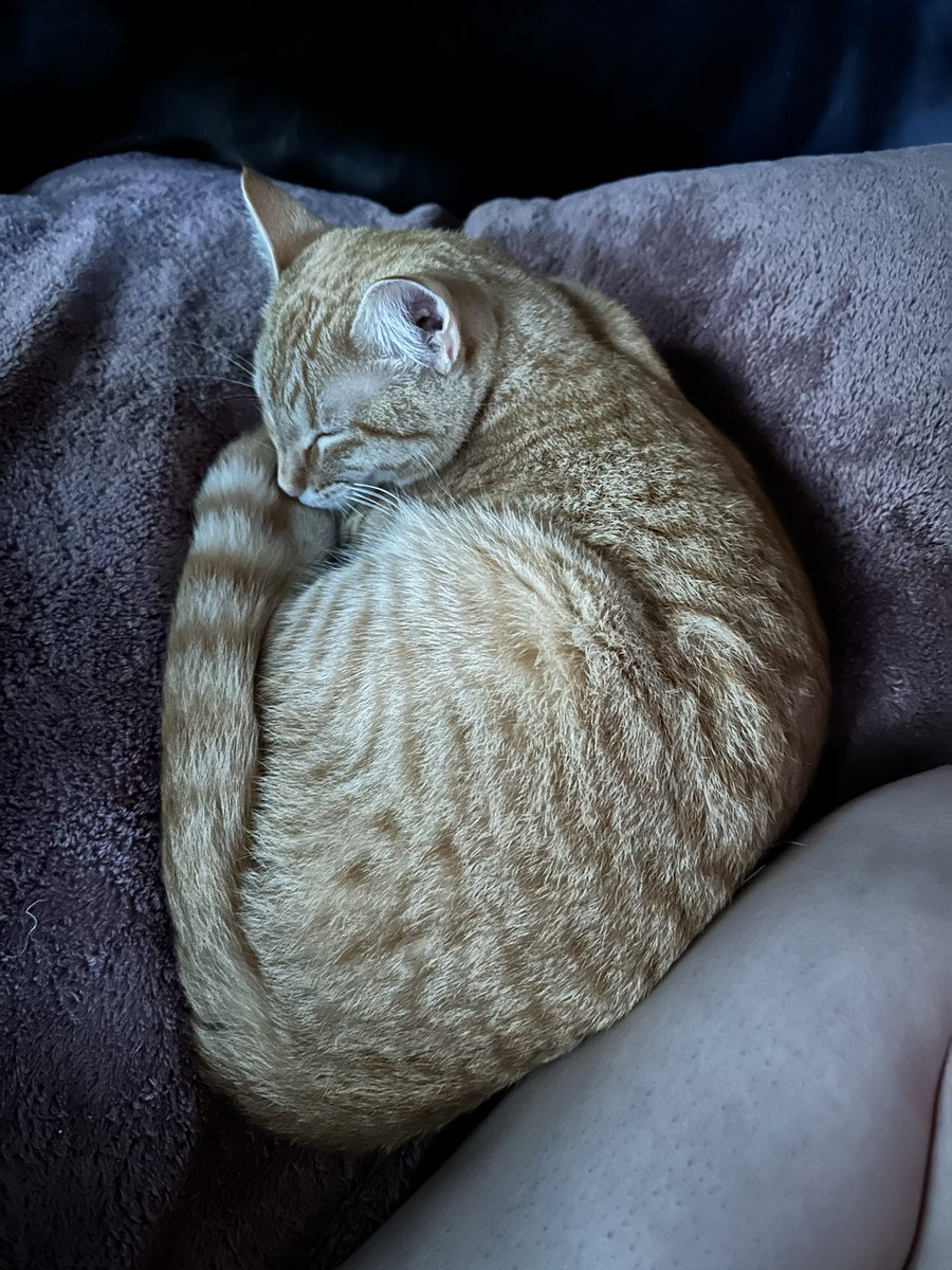 mads 🌪️ tweet media