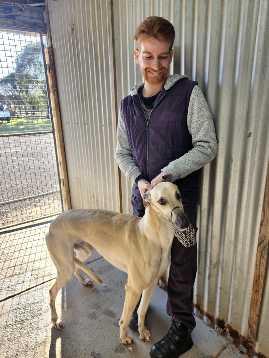 Matthew Field tweet media