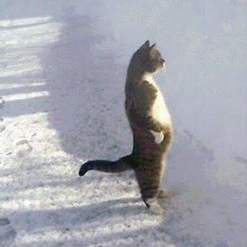 csoob (@choi_magichour) on Twitter photo 