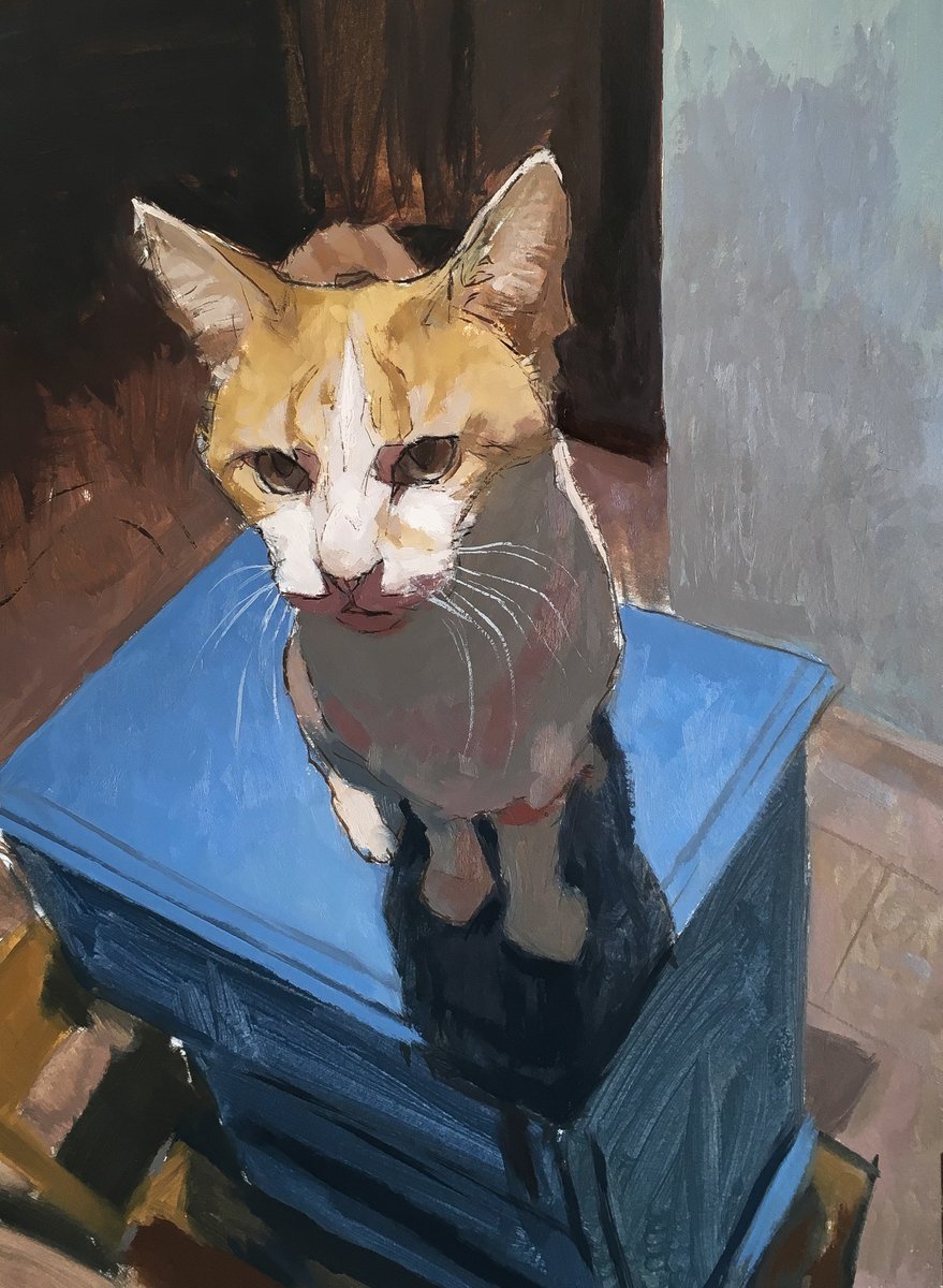 cat on blue
oil on paper, available