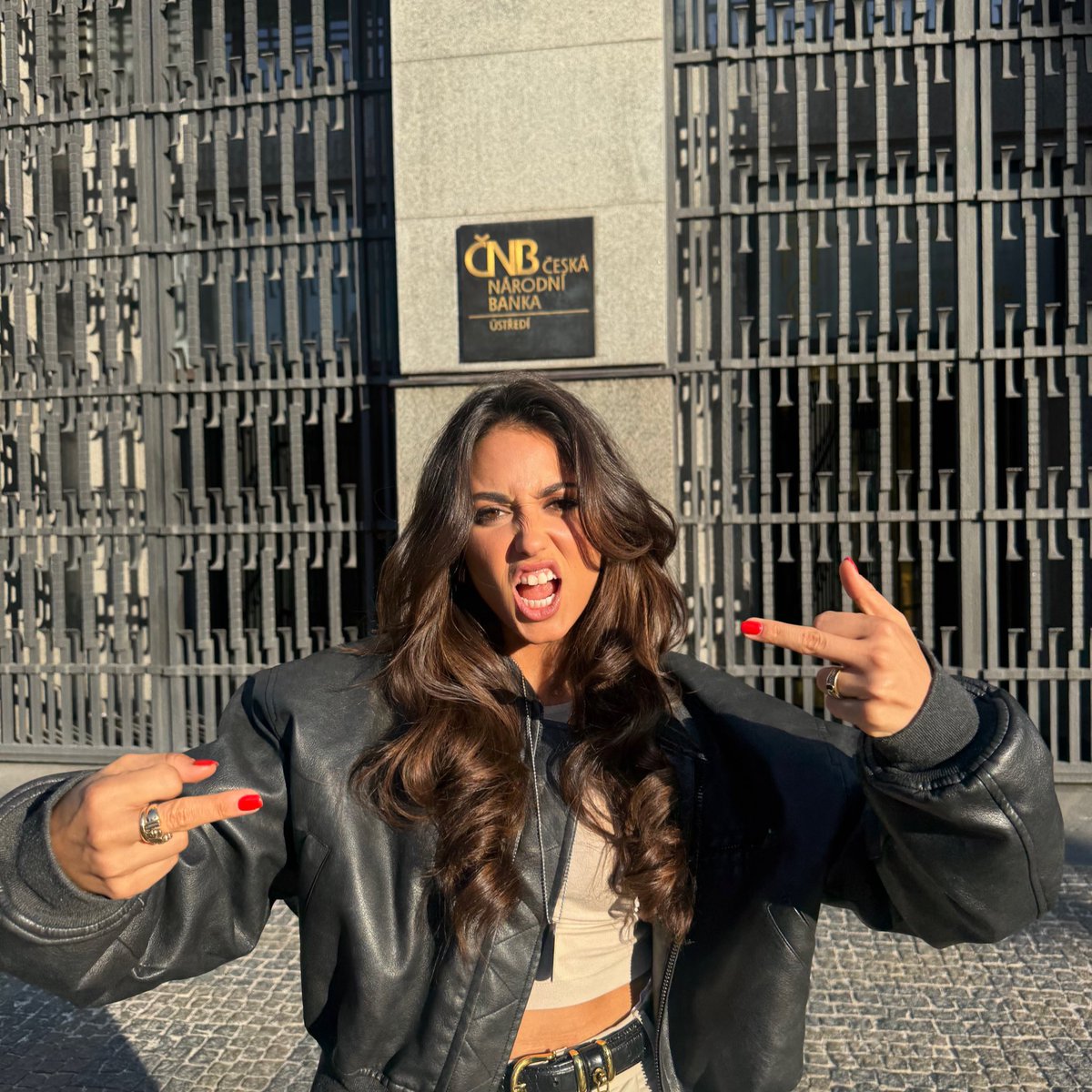 The system is broken. The incentives are broken.

You can’t fund a war without broken money. The money printer enables it.

Print. Inflate. Invade. Repeat.

Fix the money. Fix the incentives. Fix the world.

Buy ₿itcoin.