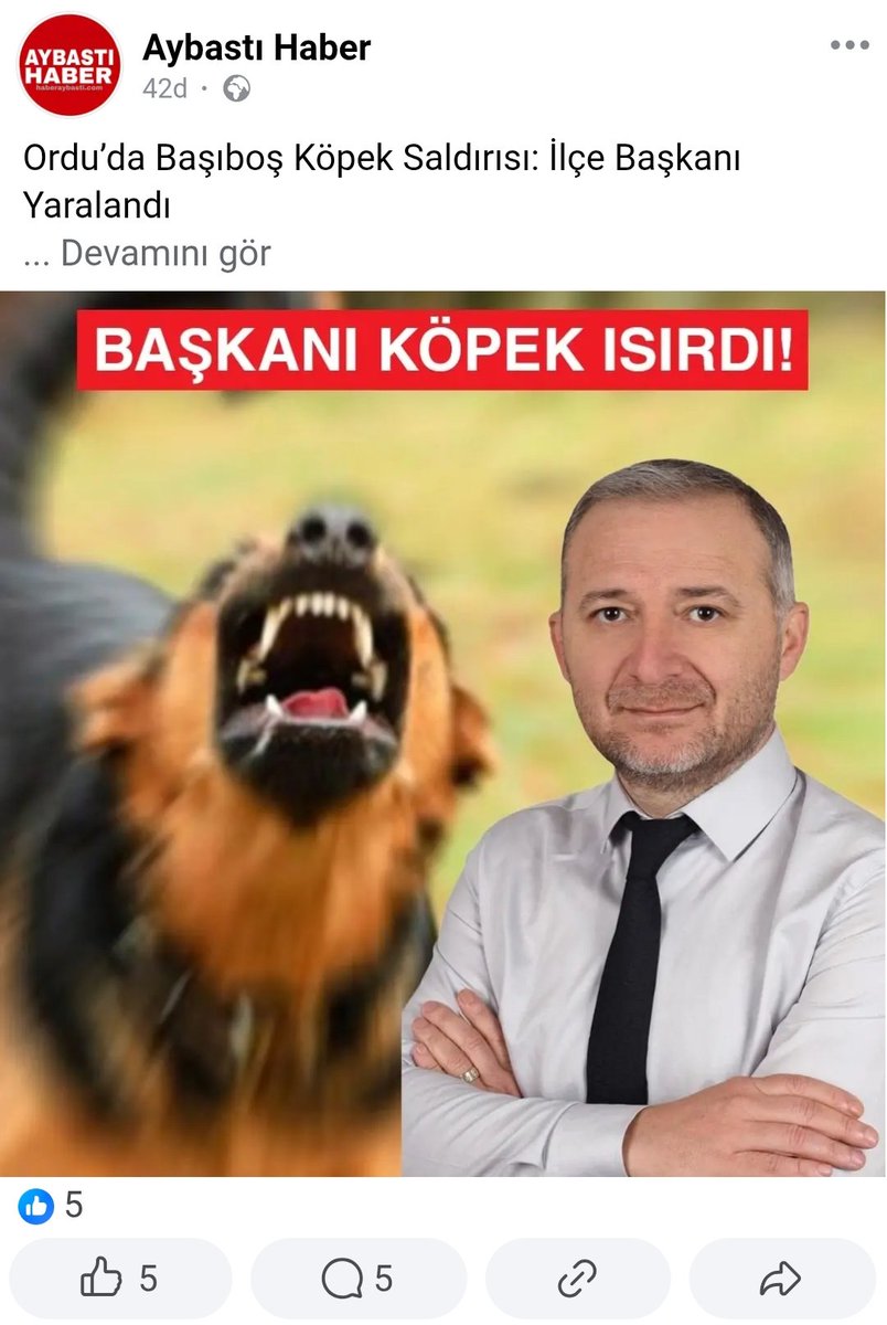 Gün gelir savunduğunuz başıboş itler sizi de ısırır demedik mi . Yasa döneminde yasaya muhalefet ettiniz, it duyarı kastınız. Ne oldu Gürgentepe ilçe başkanınız Ordu Altınordu Akyazı sahilinde yürerken başıboş bir it tarafından sırtından ısırılmış.  
<a href="/rprefahpartisi/">Yeniden Refah Partisi</a>