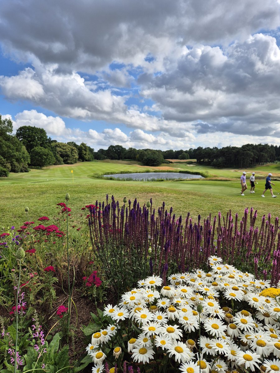 bearwoodlakes's tweet photo. We're all set to host Regional Qualifying for The Open tomorrow.
@RandA @TheOpen
Follow our story for updates.
#bearwoodlakes #theopen #theranda #golf #golfcourse https://t.co/JfWpKF8yvK