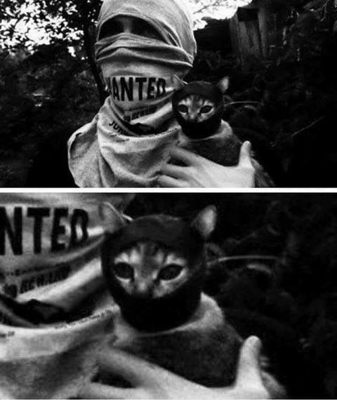 PHOTO | Antifa Aktion🥷