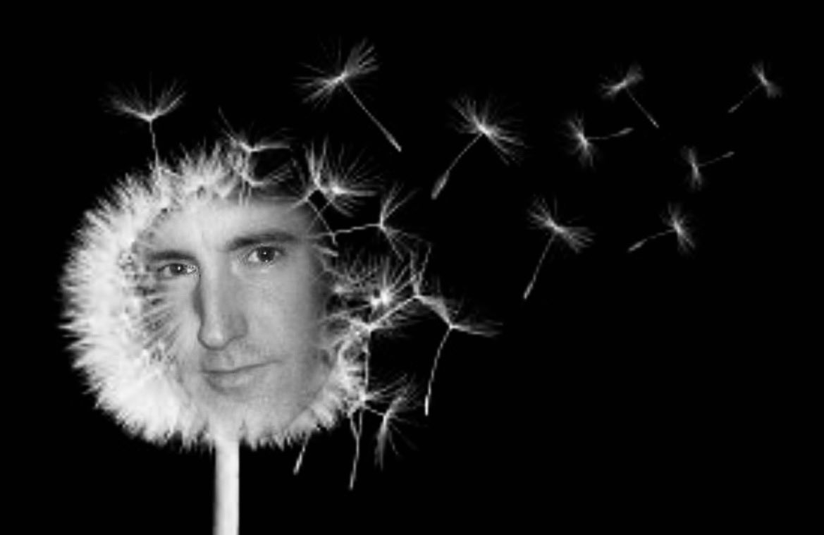 trentanyll's tweet photo. i did it

i'm a dandelion now

blow me twin

𝒷𝓁ℴ𝓌 𝓂ℯ

photo copyright ©dizzy I don't want a sue On my hands https://t.co/9brFwL5JDe