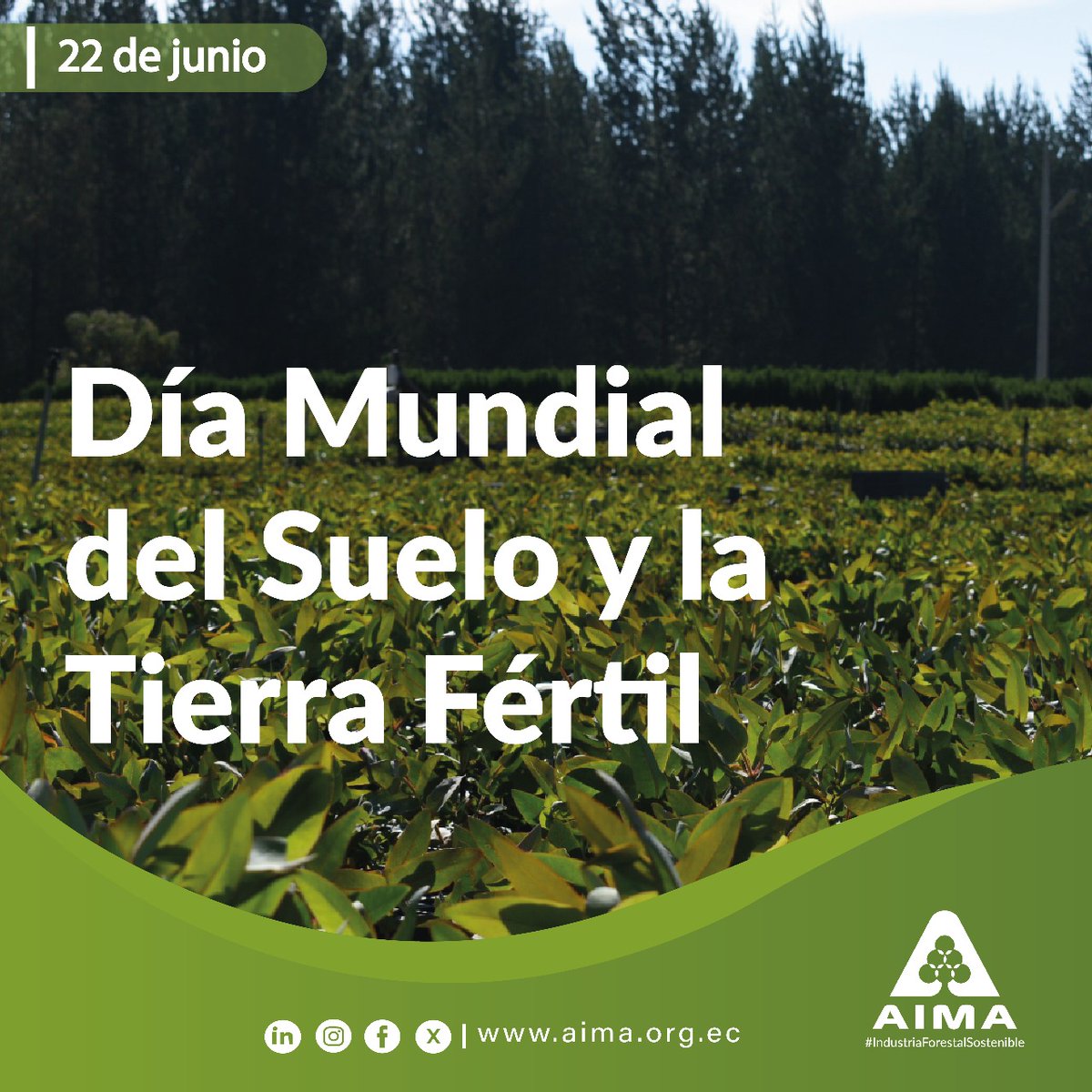 🌍🌱 Día Mundial del Suelo y la Tierra fertil
Un suelo sano es el origen de todo: del bosque, del alimento, del agua y de la vida.