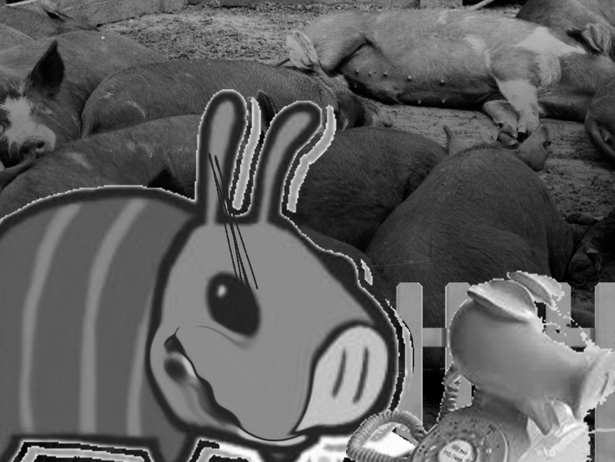 L1feGuy's tweet photo. Once in the pig pen he would leave many Gilt/Sow in there, forcing them to do MORE of the scam, leading people on so MORE pigs would be stuck in this lucrative scam of his. Any who disobeyed well-
(3/4) https://t.co/fTzPztw7Gr