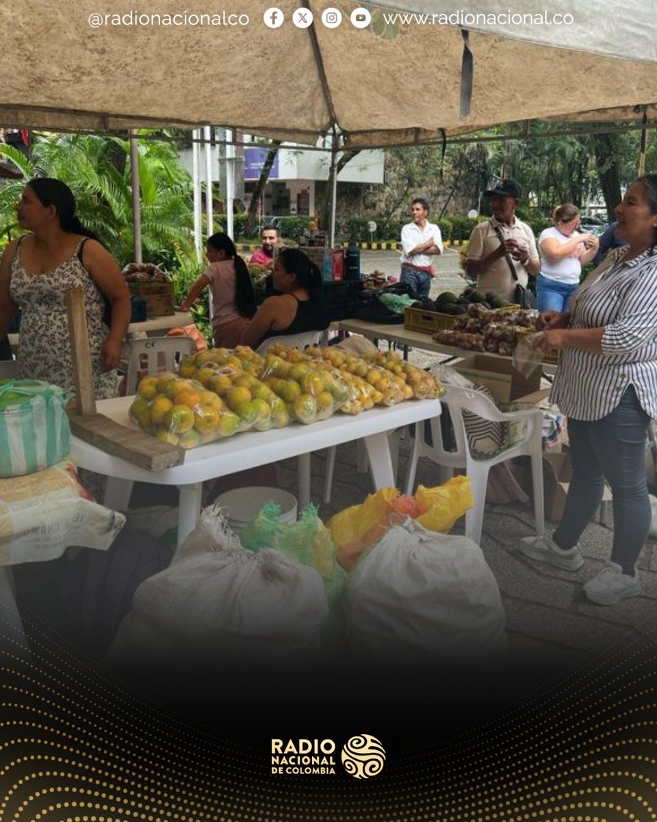 RadNalCo's tweet photo. #Paz Al profesor del Departamento de Psicopedagogía de la Universidad Surcolombiana, Mathusalam Pantevis Suarez, y a otros docentes que se habían puesto las botas para recorrer los entornos rurales del Huila, los campesinos y campesinas les dijeron:

“Necesitamos que ustedes como universidad, que hacen parte de un territorio que históricamente ha estado en conflicto, muestren que nosotros estamos tejiendo la paz y esa paz se lleva a través del alimento a la ciudad”.

Lee la nota completa aquí: https://t.co/HSVkflHUu8