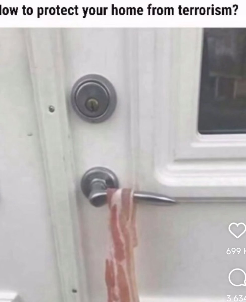 KatKanada_TM's tweet photo. How to protect your home from terrorism. 🥓 

Follow me for more safety advice. https://t.co/XQrwunzcDH