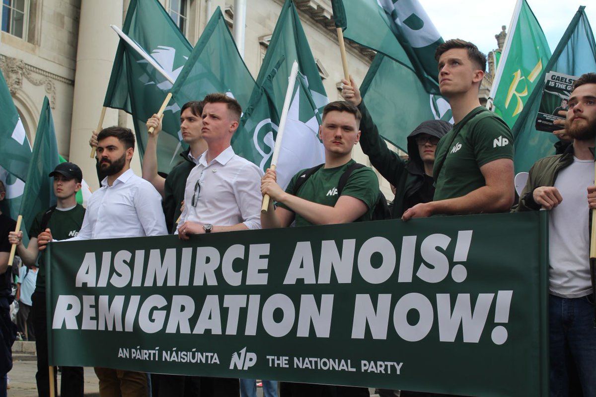 🇮🇪 Save the nation, remigration!