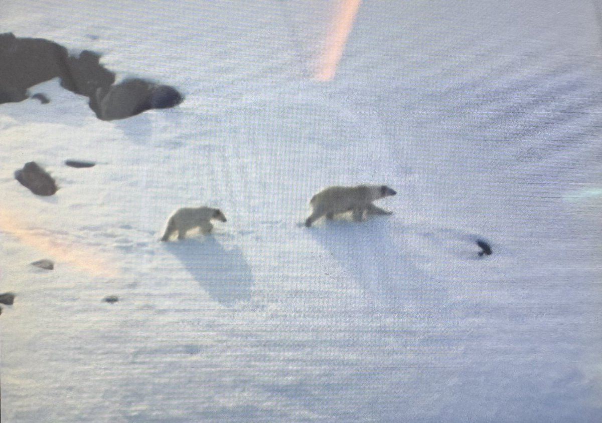 Kyle Roper MD tweet media